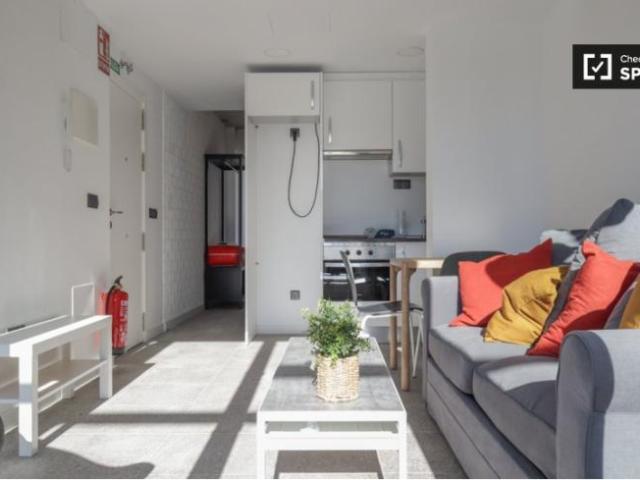 Apartamentos 1 Dormitorio Madrid Madrid ES101730504