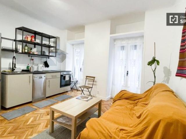 Apartamentos 1 Dormitorio Madrid Madrid ES101730603