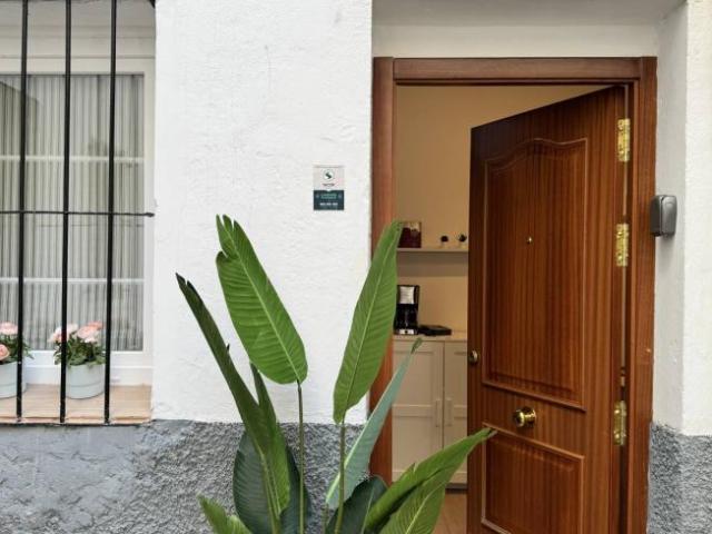 Apartamentos 1 Dormitorio Madrid Madrid ES101730848