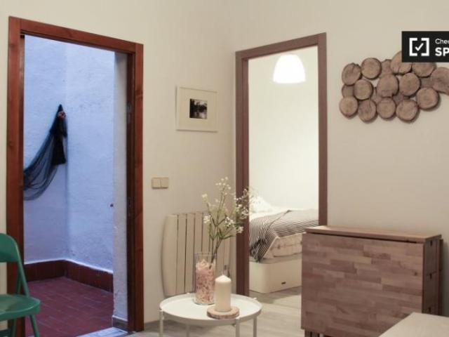 Apartamentos 1 Dormitorio Madrid Madrid ES101731261