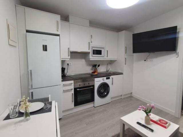 Apartamentos 1 Dormitorio Madrid Madrid ES101731325