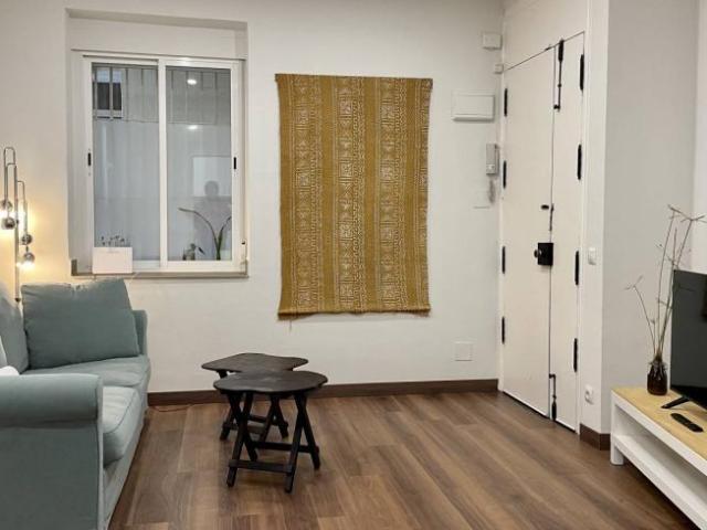 Apartamentos 1 Dormitorio Madrid Madrid ES101731372