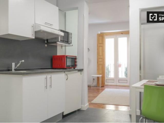 Apartamentos 1 Dormitorio Madrid Madrid ES101734385