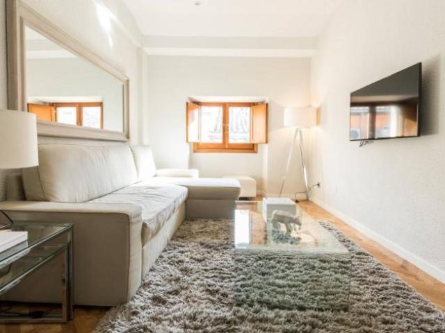 Apartamentos 1 Dormitorio Madrid Madrid ES101735005