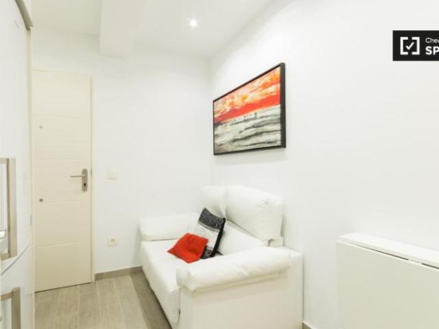 Apartamentos 1 Dormitorio Madrid Madrid ES101737145