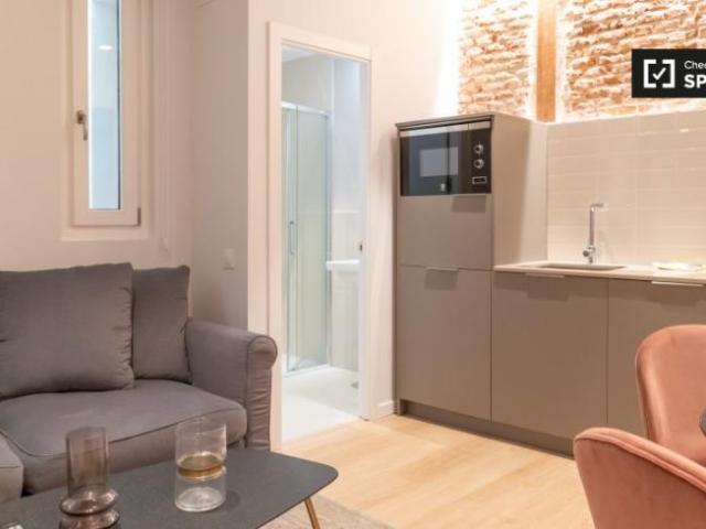 Apartamentos 1 Dormitorio Madrid Madrid ES101771427