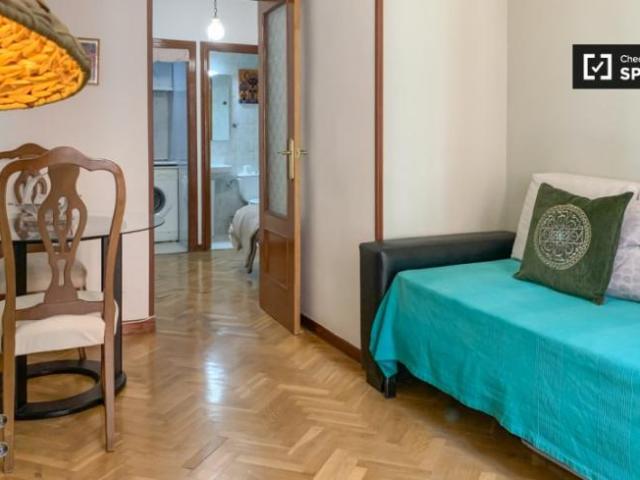 Apartamentos 1 Dormitorio Madrid Madrid ES101771014