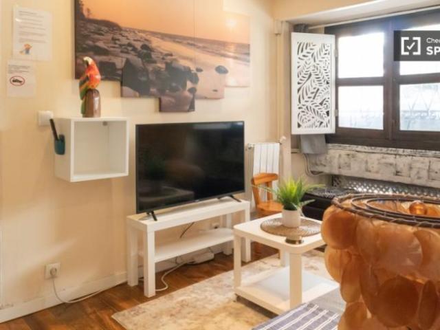 Apartamentos 1 Dormitorio Madrid Madrid ES101805922