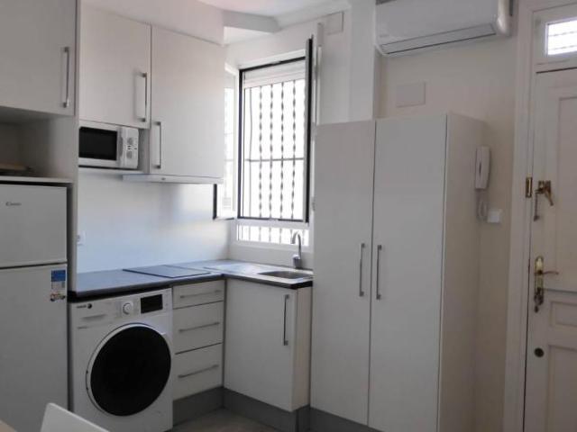 Apartamentos 1 Dormitorio Madrid Madrid ES101806672