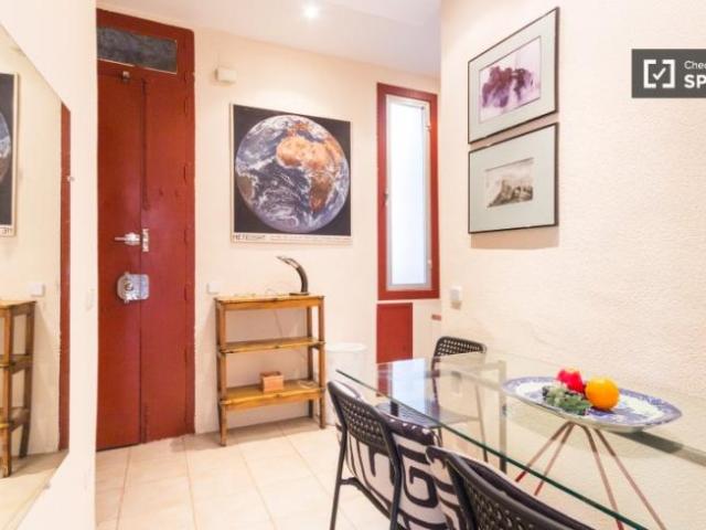 Apartamentos 1 Dormitorio Madrid Madrid ES101806743