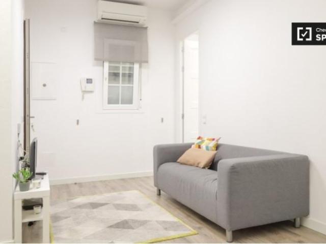 Apartamentos 1 Dormitorio Madrid Madrid ES101812862