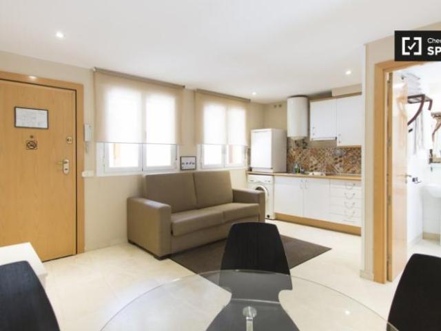 Apartamentos 1 Dormitorio Madrid Madrid ES101813613