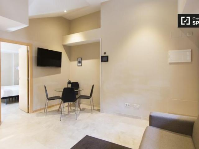 Apartamentos 1 Dormitorio Madrid Madrid ES101813684