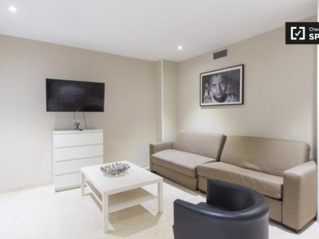 Apartamentos 1 Dormitorio Madrid Madrid ES101813269