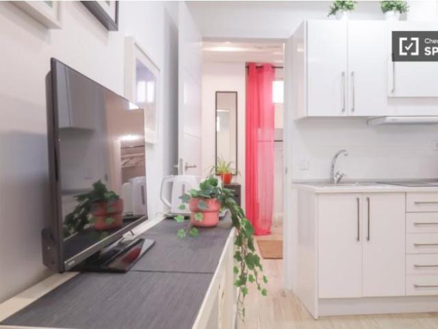 Apartamentos 1 Dormitorio Madrid Madrid ES101815130