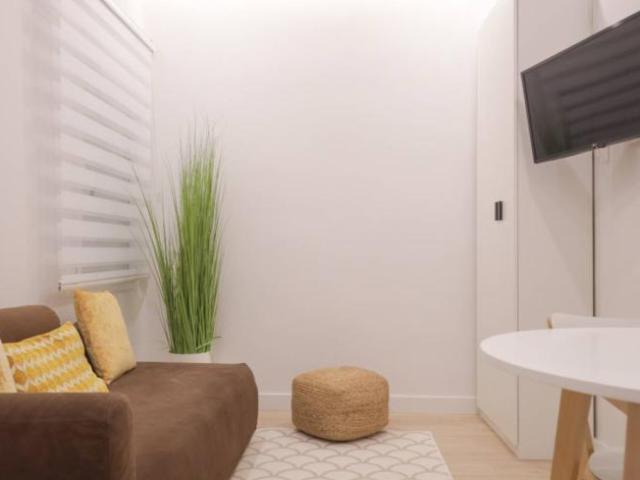Apartamentos 1 Dormitorio Madrid Madrid ES101816508