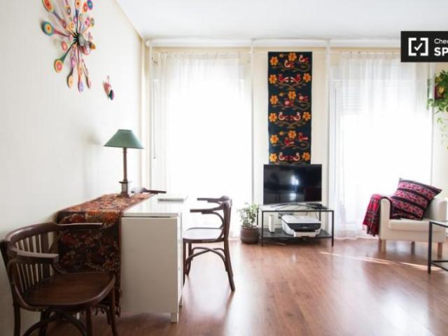 Apartamentos 1 Dormitorio Madrid Madrid ES101816733