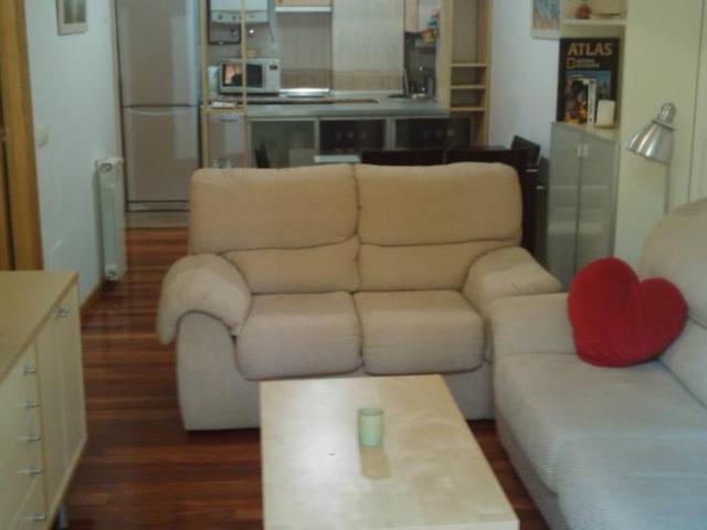 Apartamentos 1 Dormitorio Madrid Madrid ES101817405