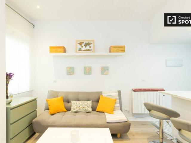Apartamentos 1 Dormitorio Madrid Madrid ES101818542