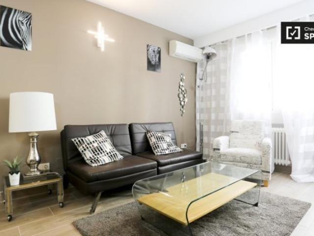 Apartamentos 1 Dormitorio Madrid Madrid ES101818667