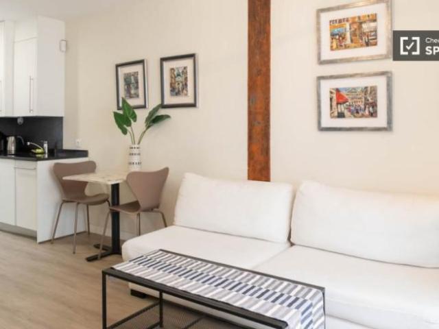 Apartamentos 1 Dormitorio Madrid Madrid ES101820332
