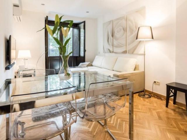 Apartamentos 1 Dormitorio Madrid Madrid ES101822412