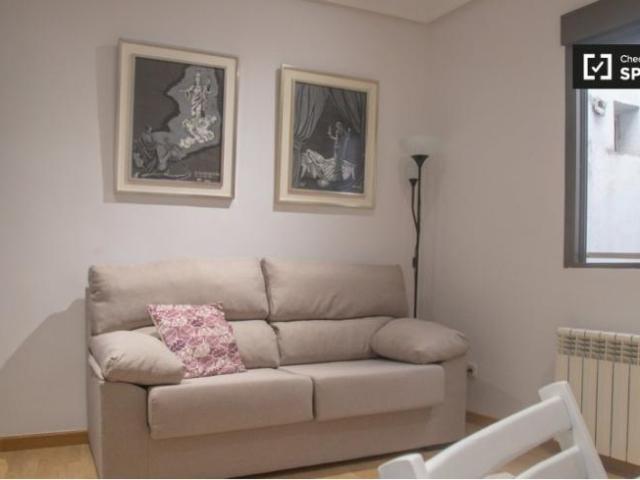 Apartamentos 1 Dormitorio Madrid Madrid ES101822975