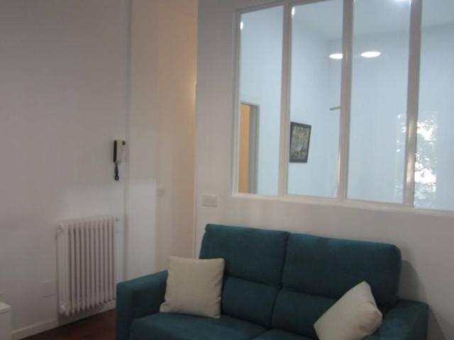 Apartamentos 1 Dormitorio Madrid Madrid ES101822215