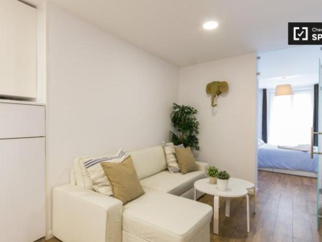 Apartamentos 1 Dormitorio Madrid Madrid ES101823565