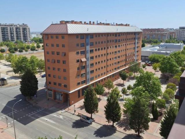 Apartamentos 1 Dormitorio Madrid Madrid ES101824551
