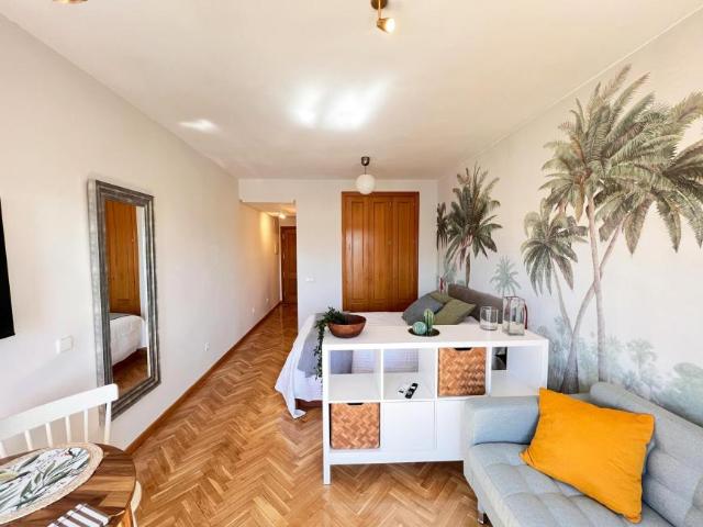 Apartamentos 1 Dormitorio Madrid Madrid ES101841083