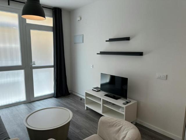 Apartamentos 1 Dormitorio Madrid Madrid ES101843134