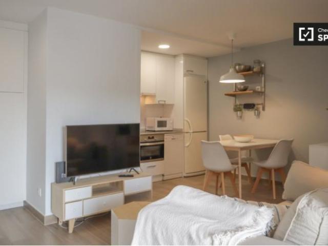 Apartamentos 1 Dormitorio Madrid Madrid ES101844156