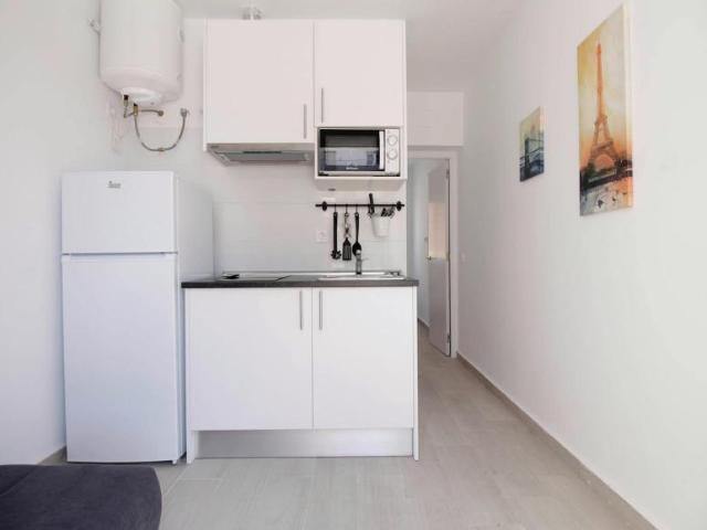 Apartamentos 1 Dormitorio Madrid Madrid ES101848665