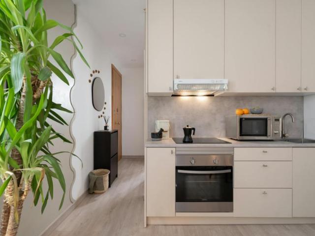Apartamentos 1 Dormitorio Madrid Madrid ES101884489