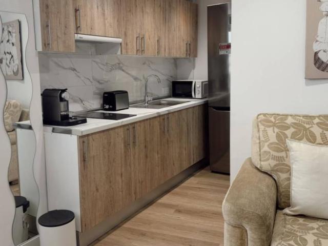 Apartamentos 1 Dormitorio Madrid Madrid ES101952949