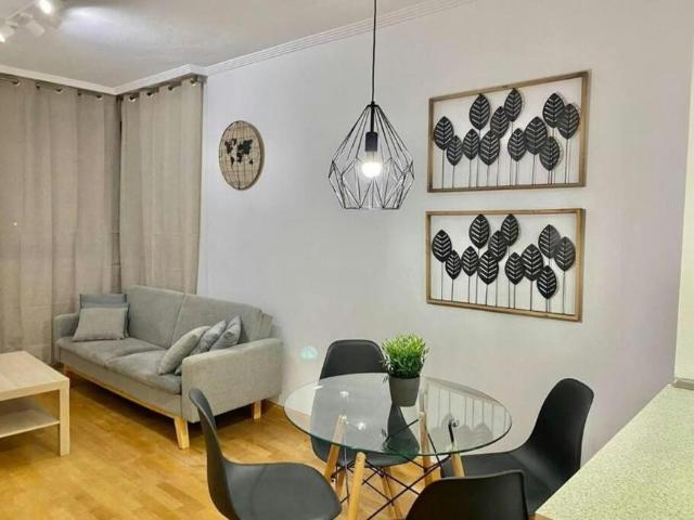 Apartamentos 1 Dormitorio Madrid Madrid ES101057517