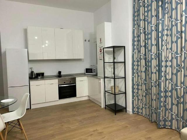 Apartamentos 1 Dormitorio Madrid Madrid ES101097162