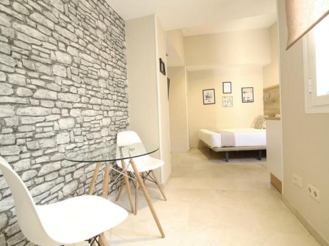 Apartamentos 1 Dormitorio Madrid Madrid ES101177213