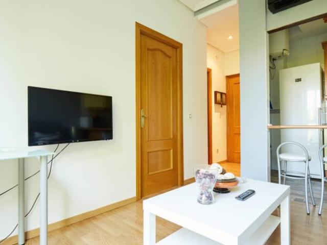 Apartamentos 1 Dormitorio Madrid Madrid ES101191569