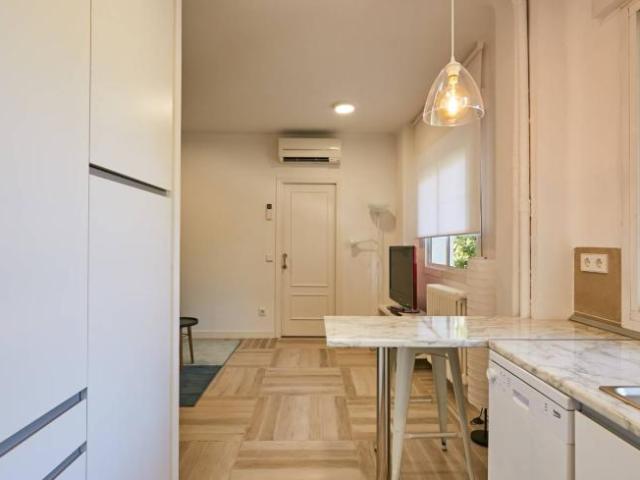 Apartamentos 1 Dormitorio Madrid Madrid ES101191660