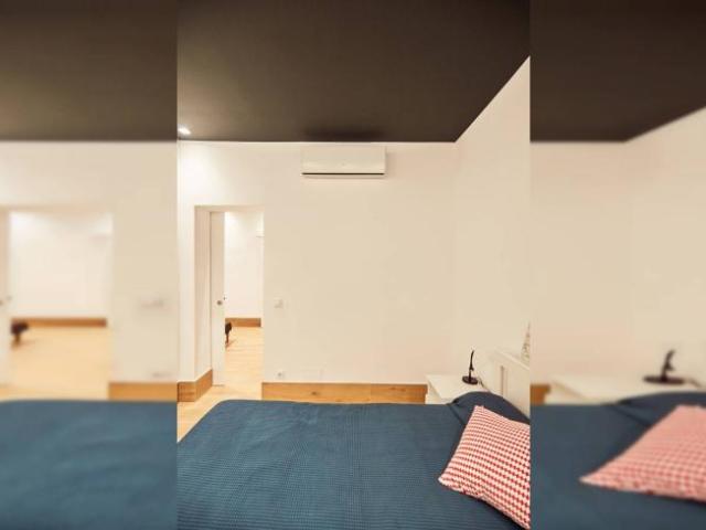 Apartamentos 1 Dormitorio Madrid Madrid ES101191677