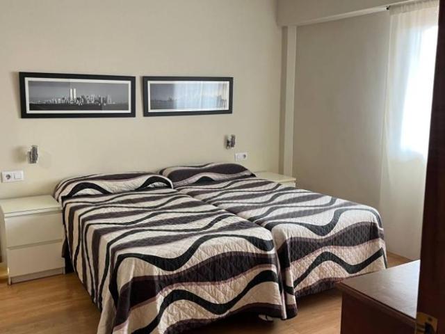 Apartamentos 1 Dormitorio Madrid Madrid ES101191044