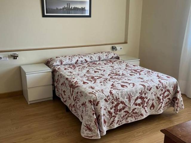 Apartamentos 1 Dormitorio Madrid Madrid ES101191046