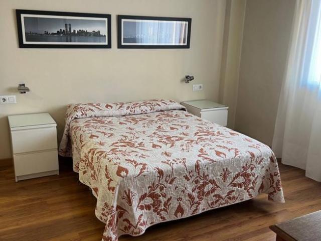 Apartamentos 1 Dormitorio Madrid Madrid ES101191129