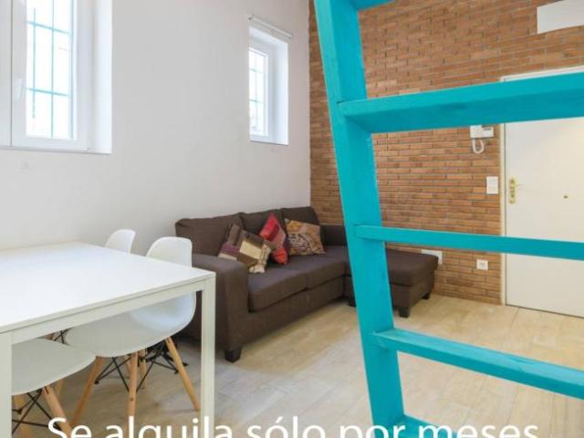 Apartamentos 1 Dormitorio Madrid Madrid ES101191193