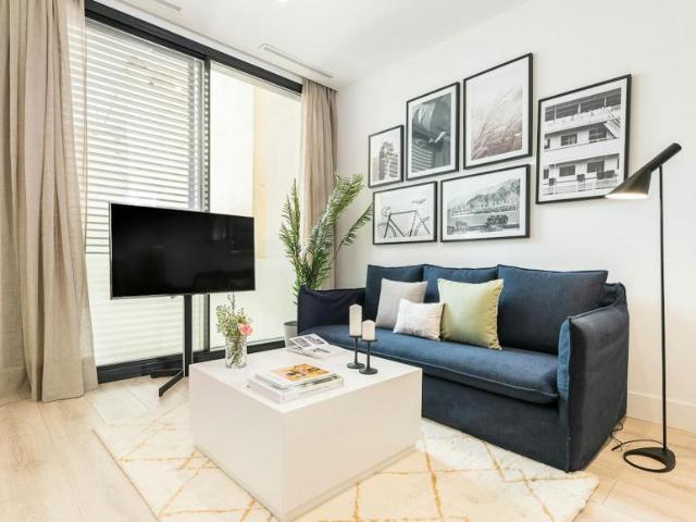 Apartamentos 1 Dormitorio Madrid Madrid ES101305223