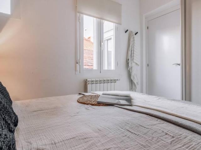 Apartamentos 1 Dormitorio Madrid Madrid ES102401523