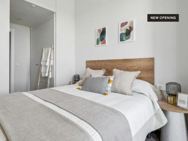 Apartamentos 1 Dormitorio Madrid Madrid ES102521319