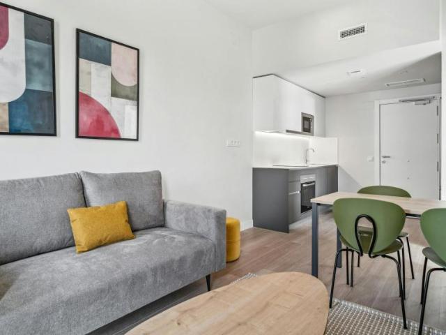 Apartamentos 1 Dormitorio Madrid Madrid ES102521341